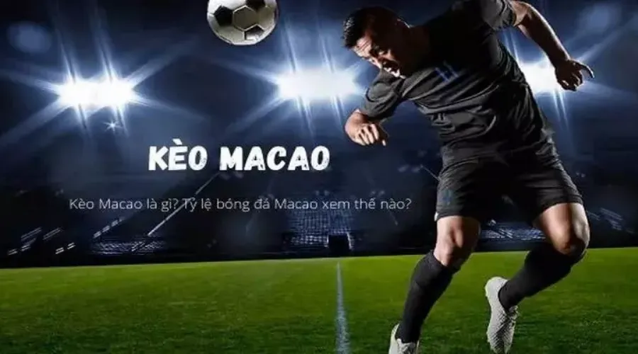Người chơi theo dõi tỉ lệ kèo macao trước khi đặt cược để gia tăng khả năng chiến thắng